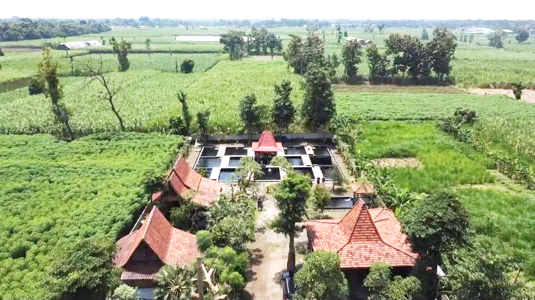 Dijual Tanah dan Rumah Joglo Antik di Kediri Dekat IAIN Kediri, RSUD Gambiran, Pasar Kandat, Bandara Kediri, SMAN 1 Kandat